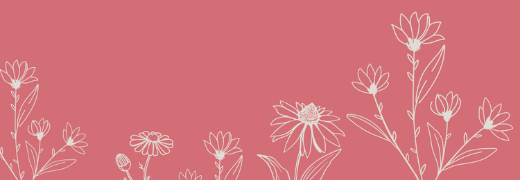 New Arrivals & Back in Stock