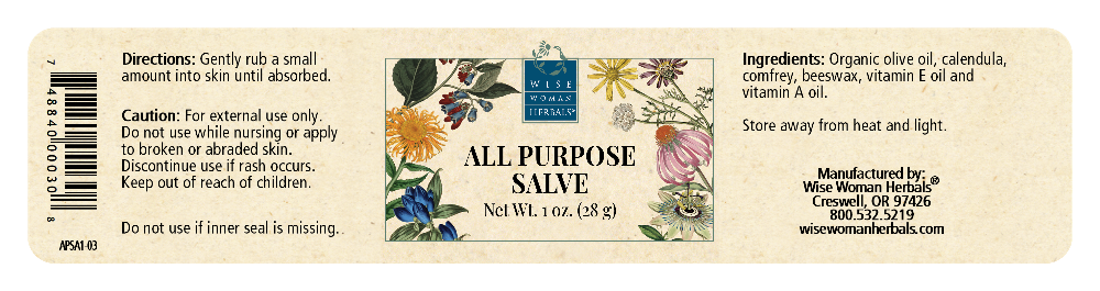 All Purpose Salve
