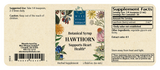Hawthorn Botanical Syrup (Formerly Solid Extract)