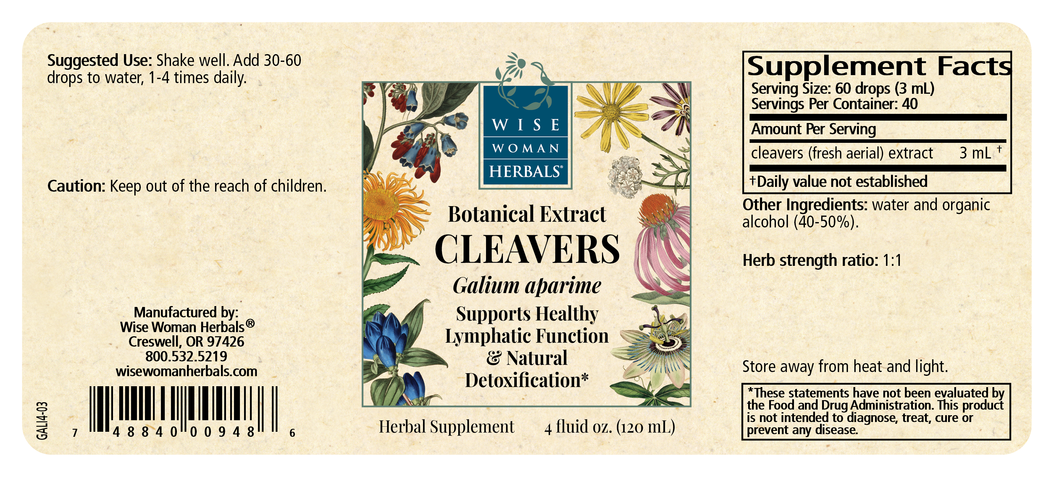 Cleavers (Galium aparine)