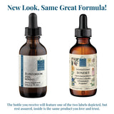 Boneset (Eupatorium perfoliatum)