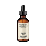 Boneset (Eupatorium perfoliatum)