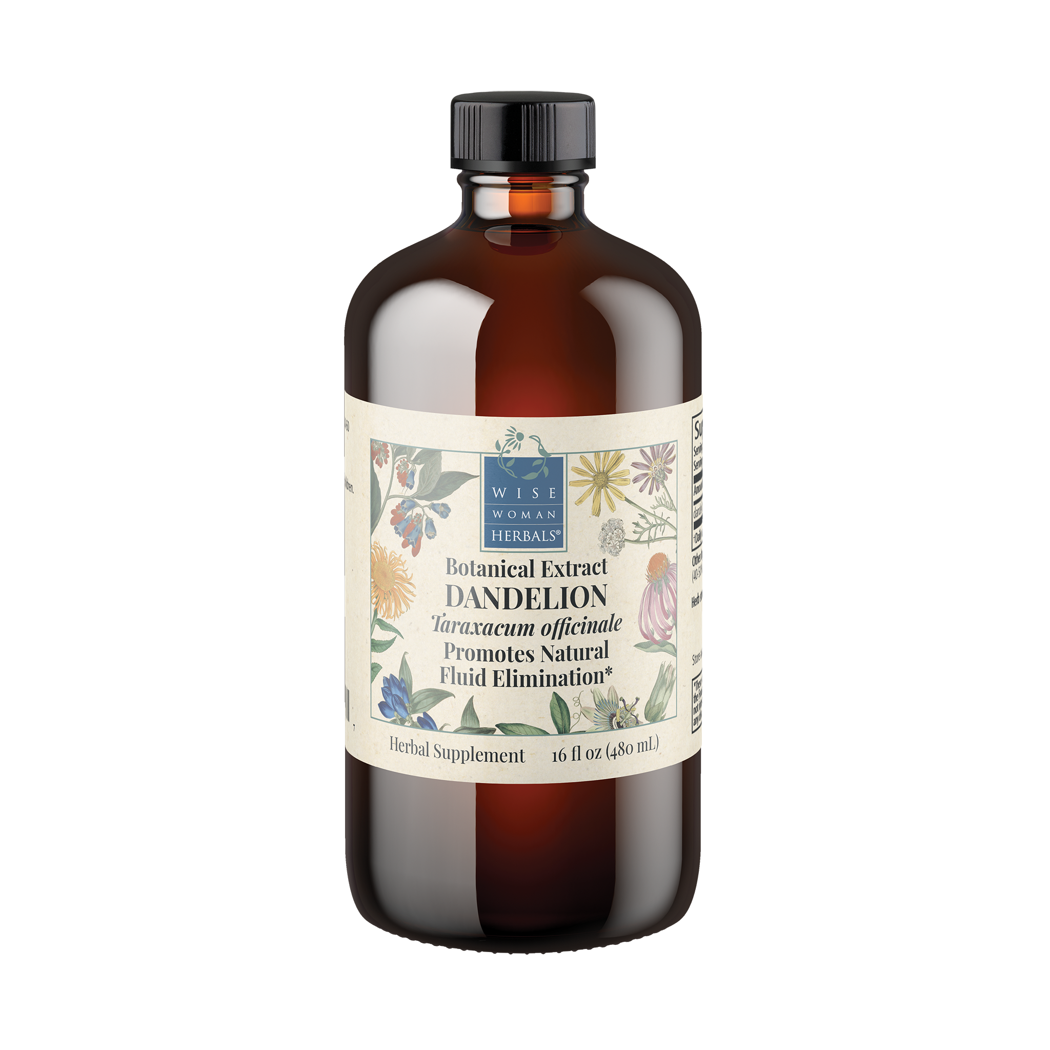 Dandelion (Taraxacum officinale) Leaf Botanical Extract