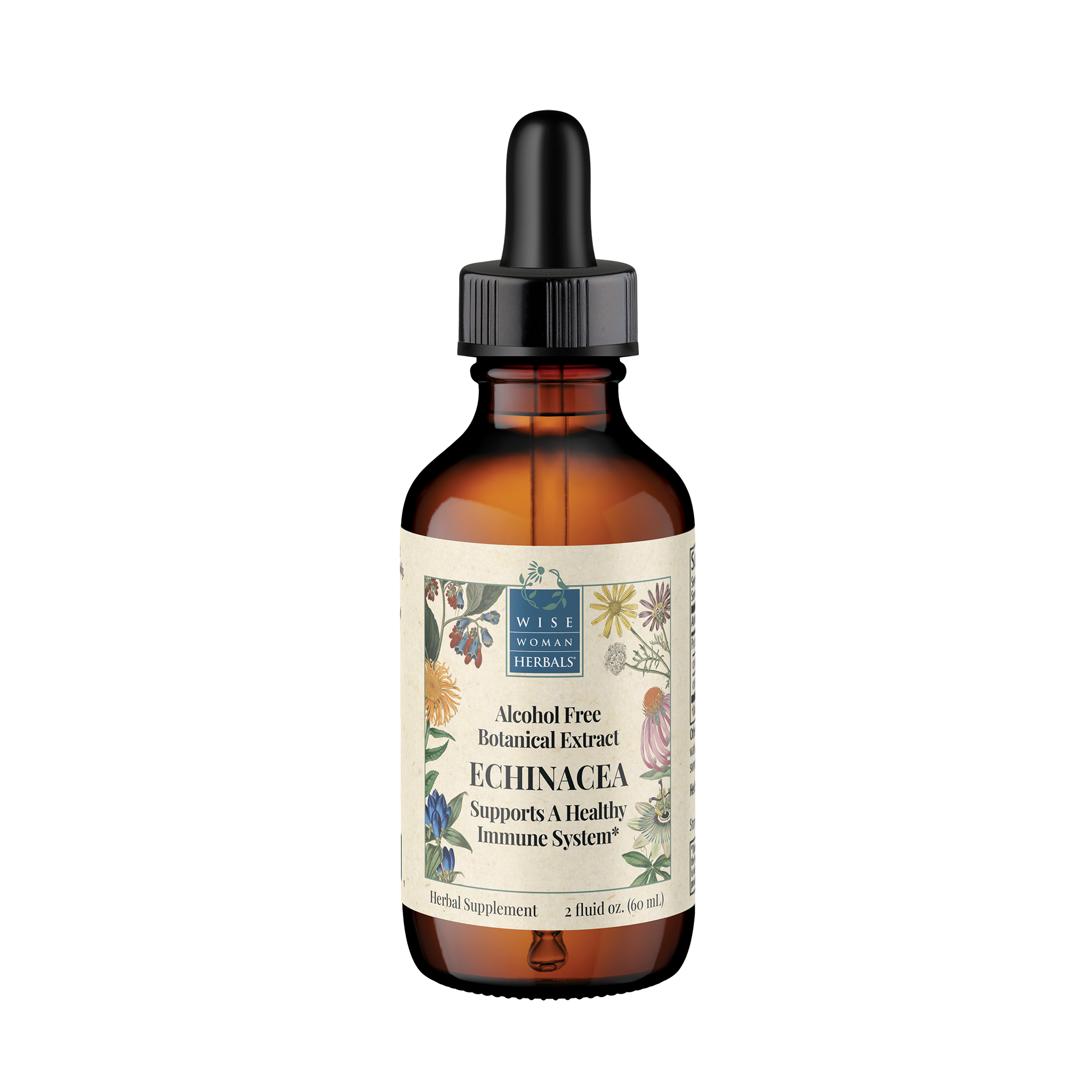 Echinacea Alcohol Free (Formerly Echinacea Glycerite) – Wise Woman