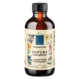 Goat's Rue (Galega officinalis)