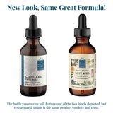 Gotu Kola (Centella asiatica)