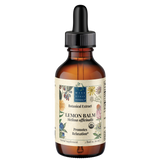 Lemon Balm (Melissa officinalis)