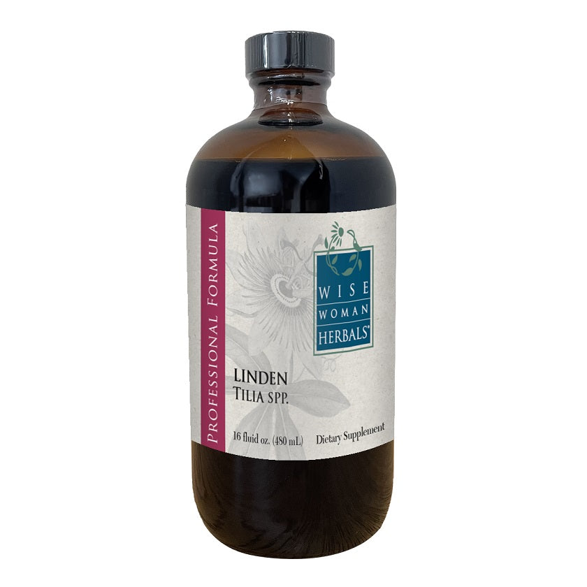 Tilia_europaea_linden_TILI16-