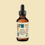 Goldenseal Alcohol Free Botanical Extract