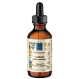 Yarrow (Achillea millefolium)