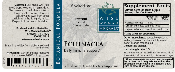Echinacea (Formerly Echinacea Glycerite)