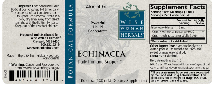 Echinacea