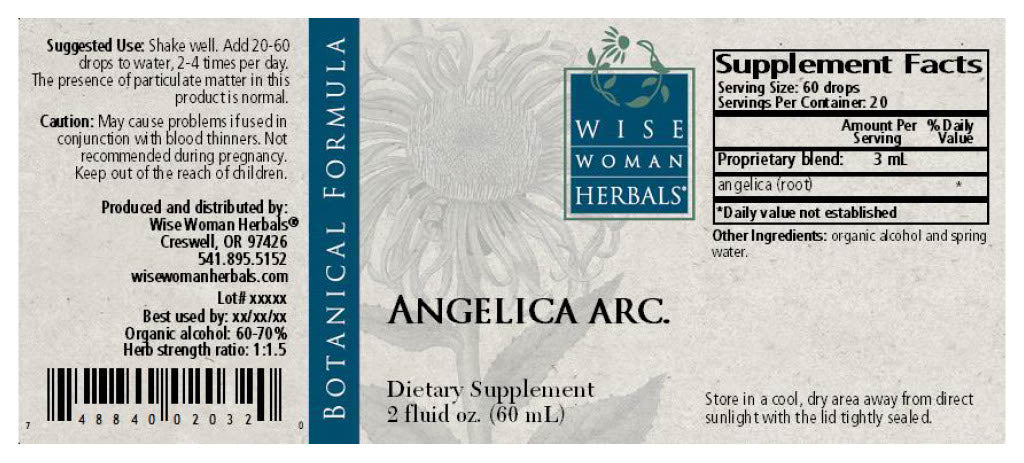 Angelica (Angelica archangelica)