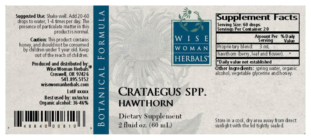 Hawthorn (Crataegus spp.)