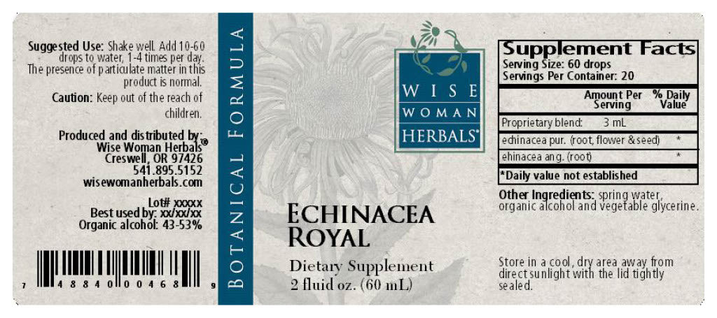 Echinacea Royal
