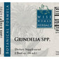 Gumweed (Grindelia spp.)