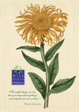 Botanical Posters