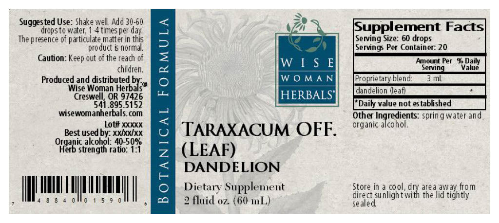 Dandelion (Taraxacum officinale) Leaf