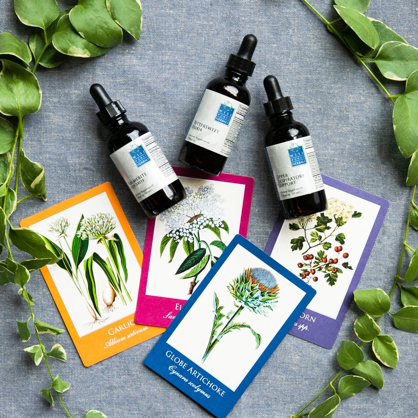 Botanical Card Deck