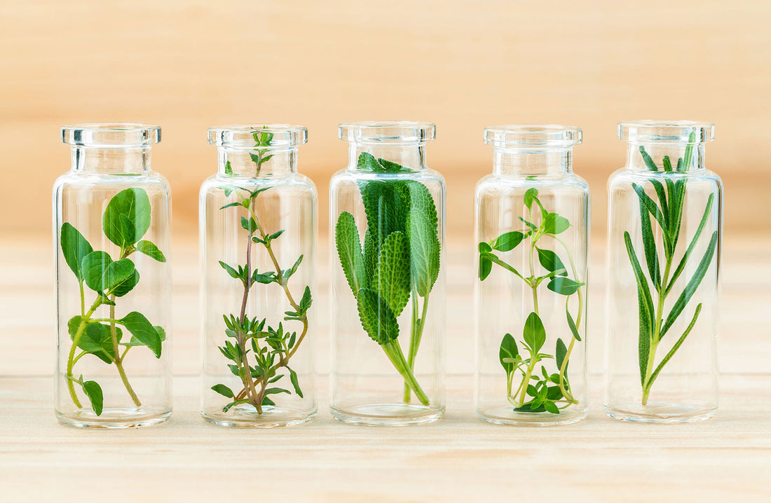 How to Choose the Right Herbal Preparation