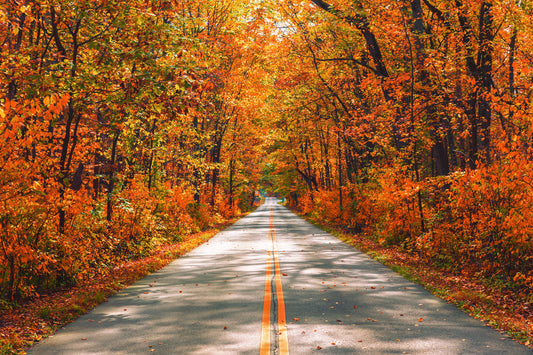 5 Ways To Refresh Your Life With The Autumnal Equinox