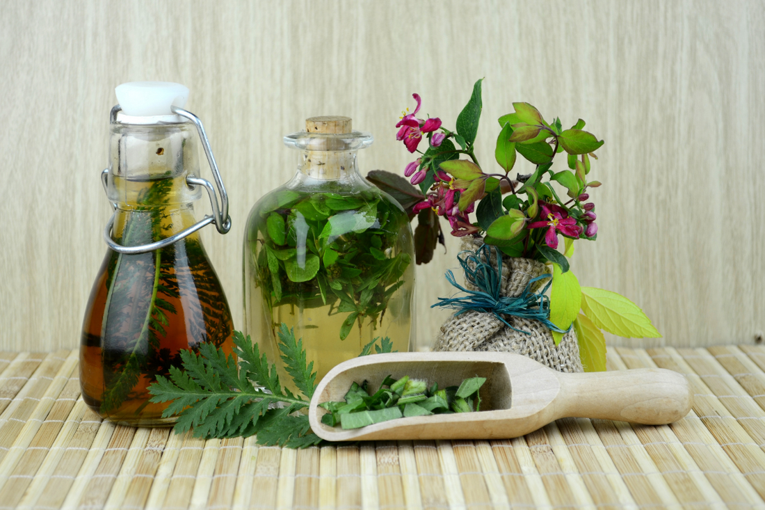 What are Botanical Extracts? [Top 3 Benefits]