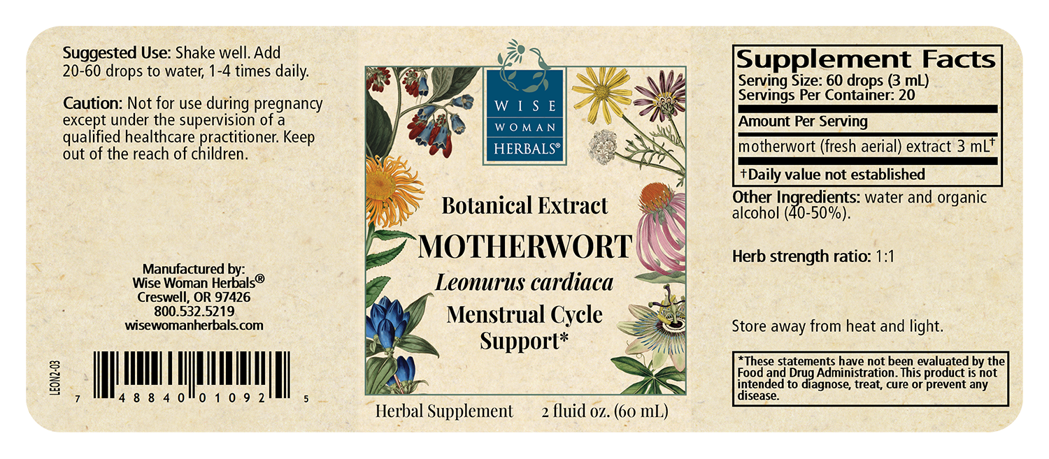 Motherwort (Leonurus cardiaca)