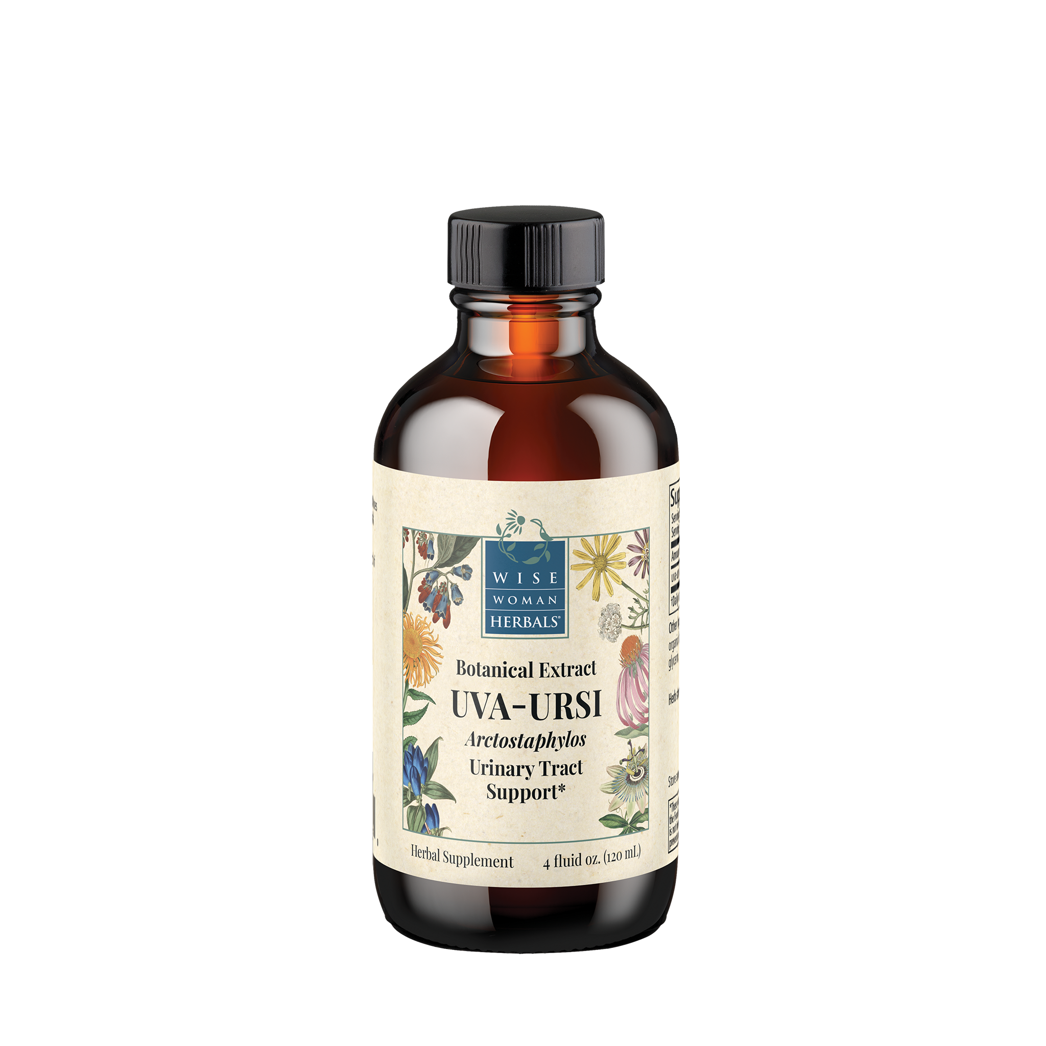 Uva Ursi (Arctostaphylos uva-ursi)