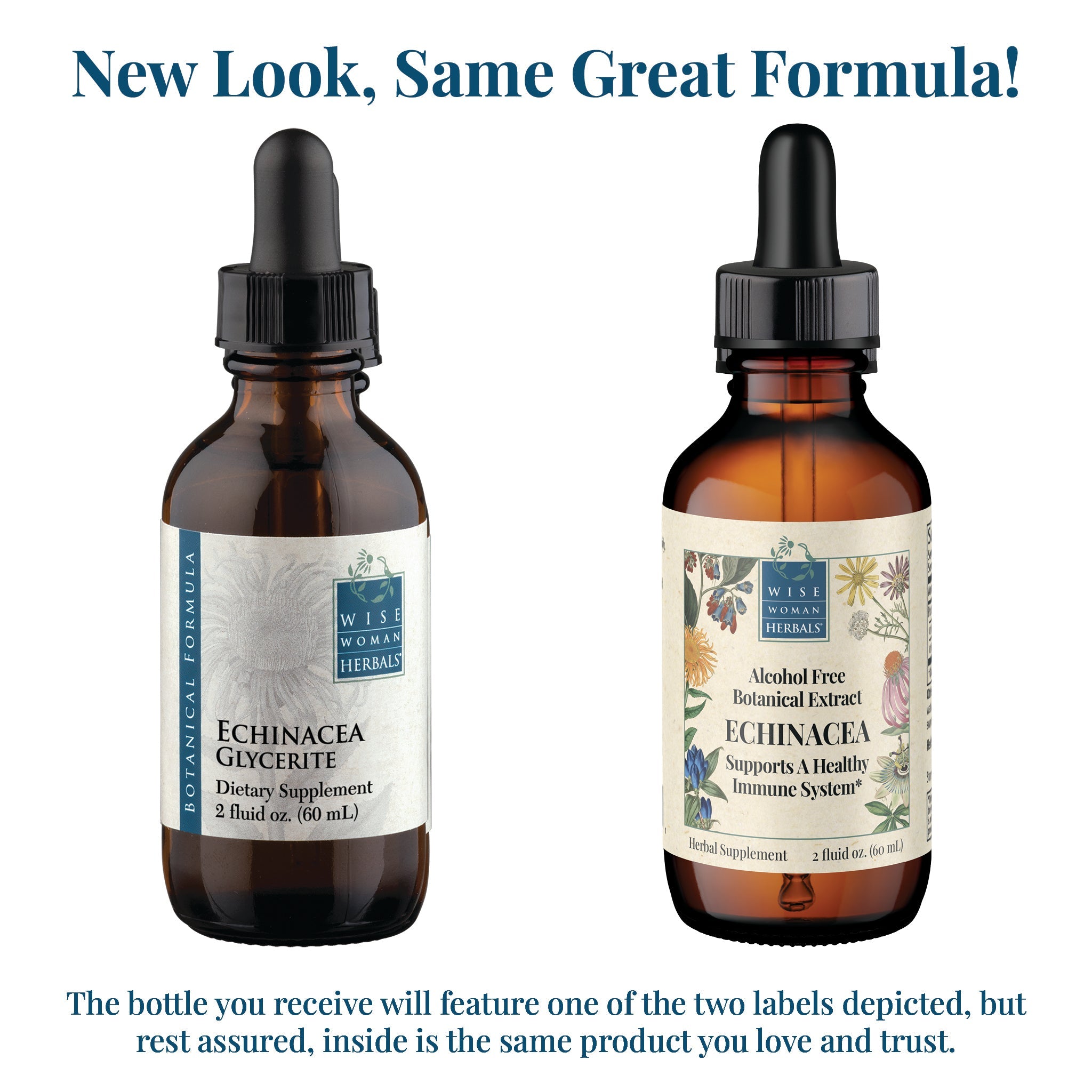 Echinacea (Formerly Echinacea Glycerite)