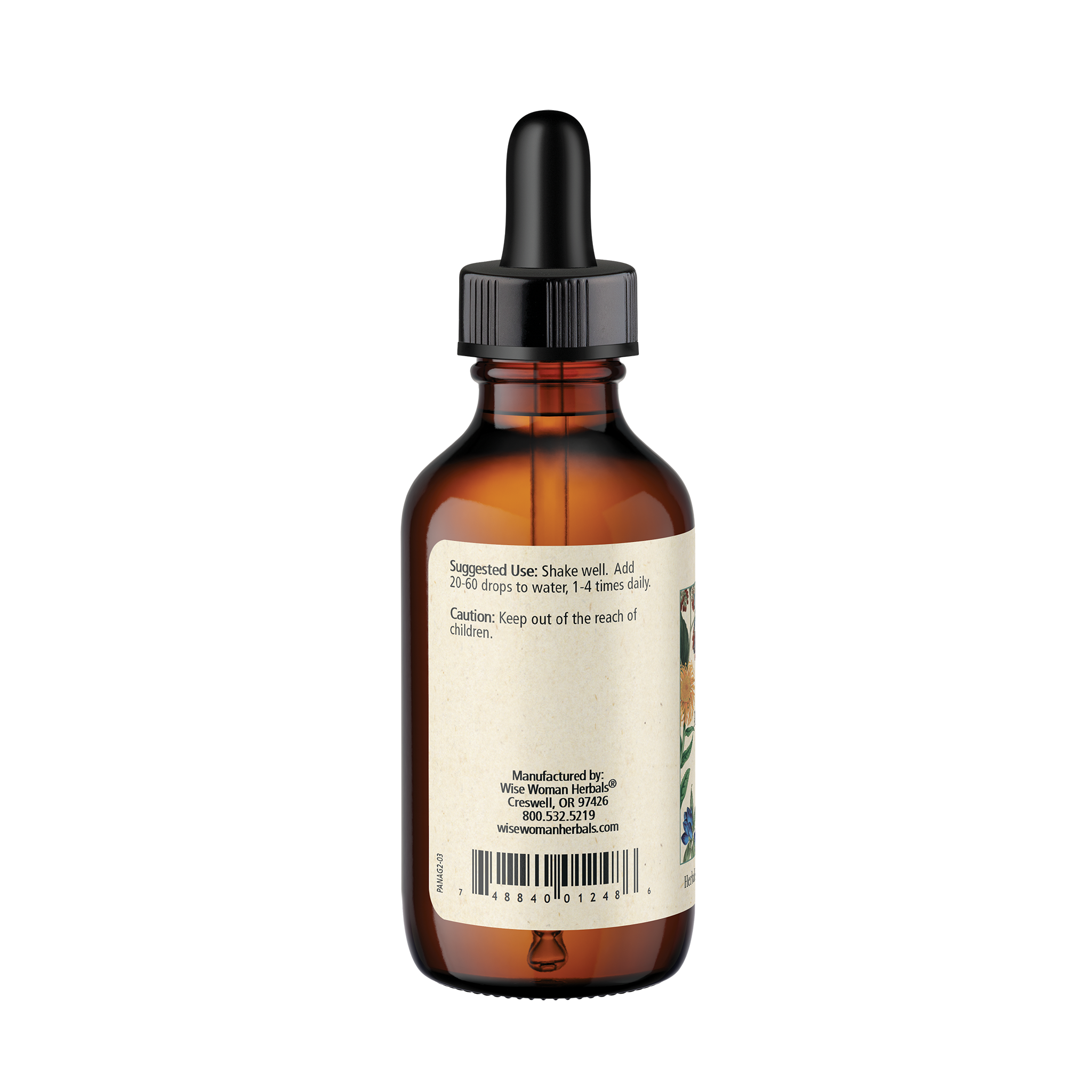 Asian ginseng (Panax ginseng)