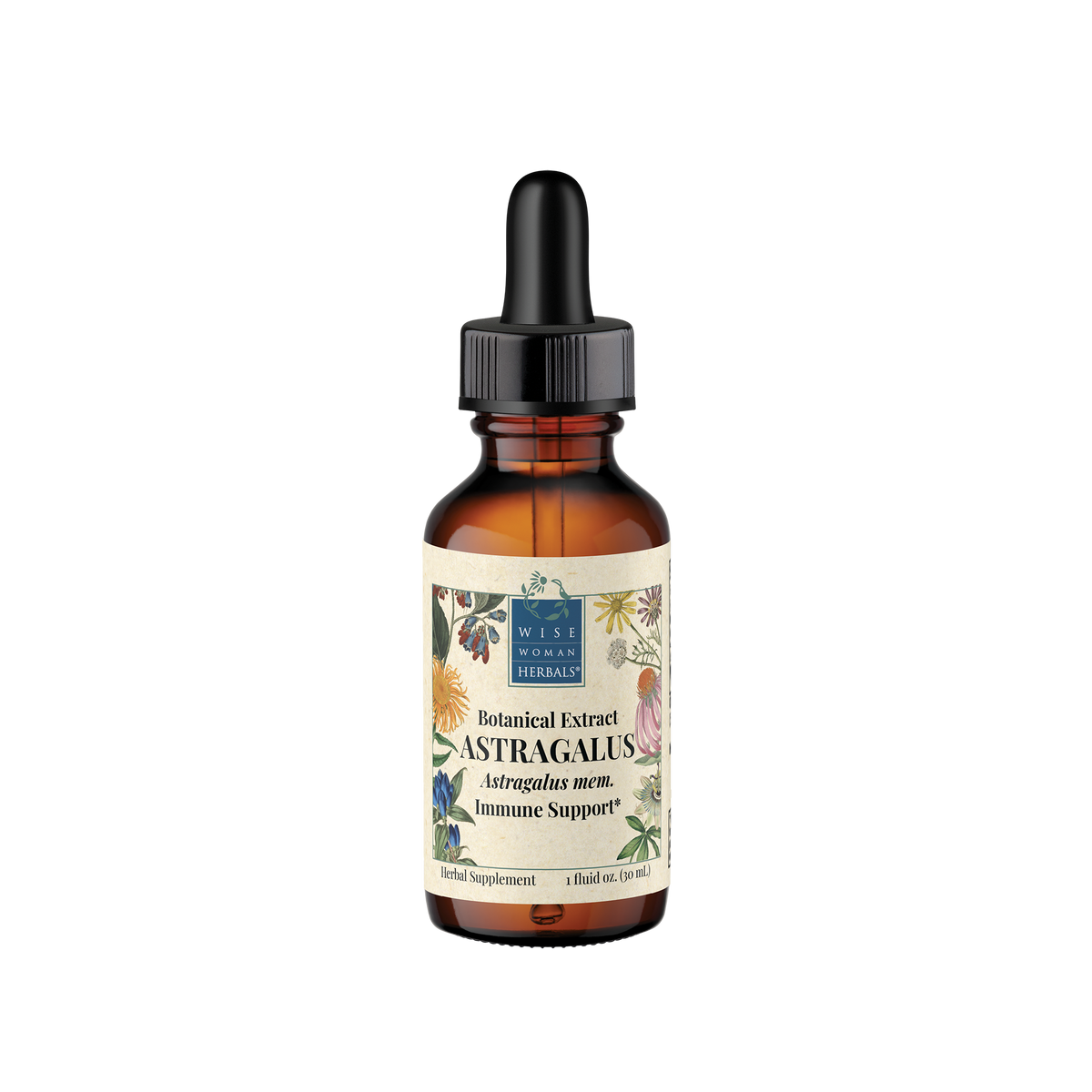 Astragalus (Astragalus membranaceous)