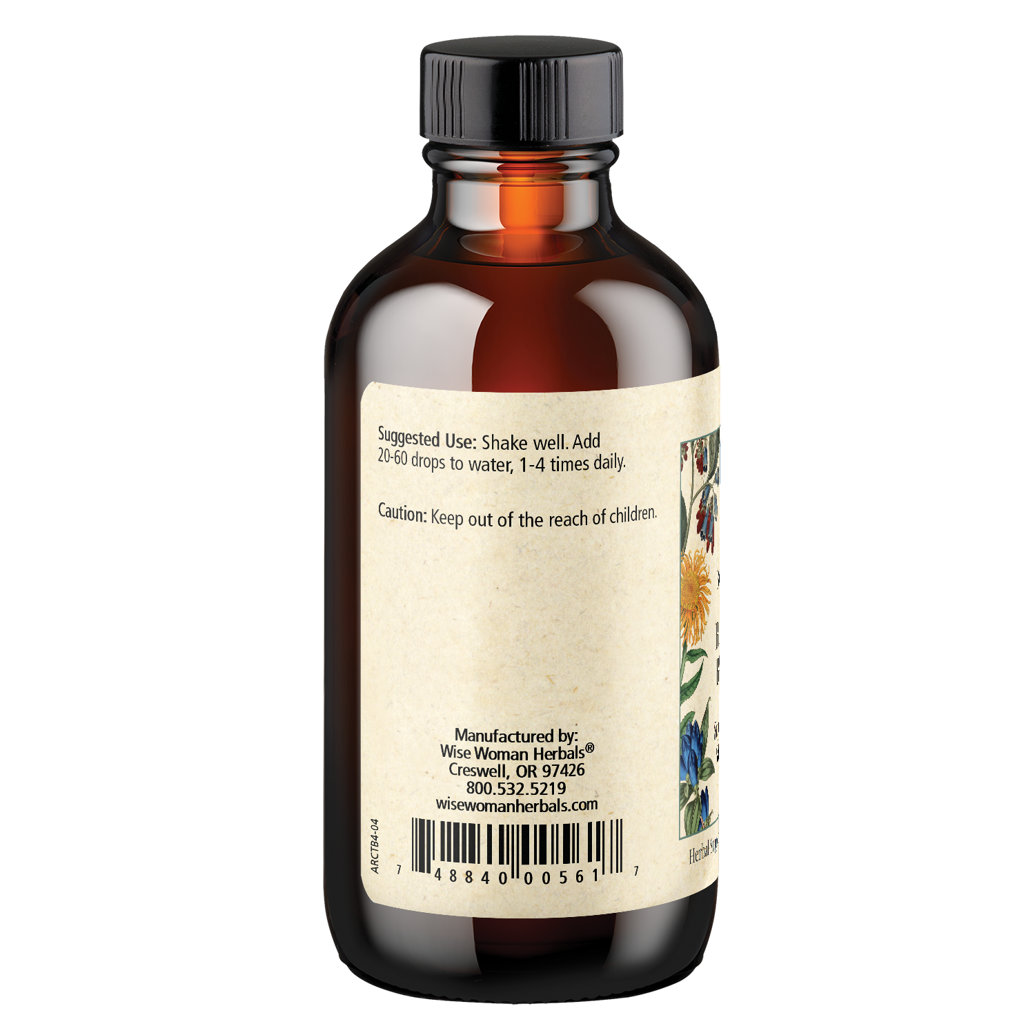 Burdock Balance (Arctium lap.)