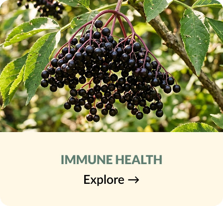 Immune Health
