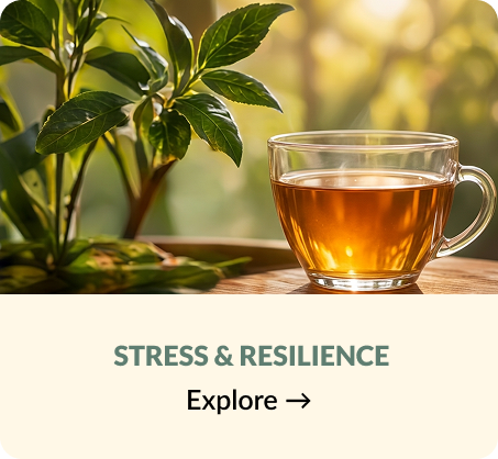 Stress & Resilience