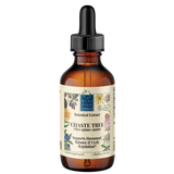 Chaste Tree (Vitex agnus-castus) Botanical Extract