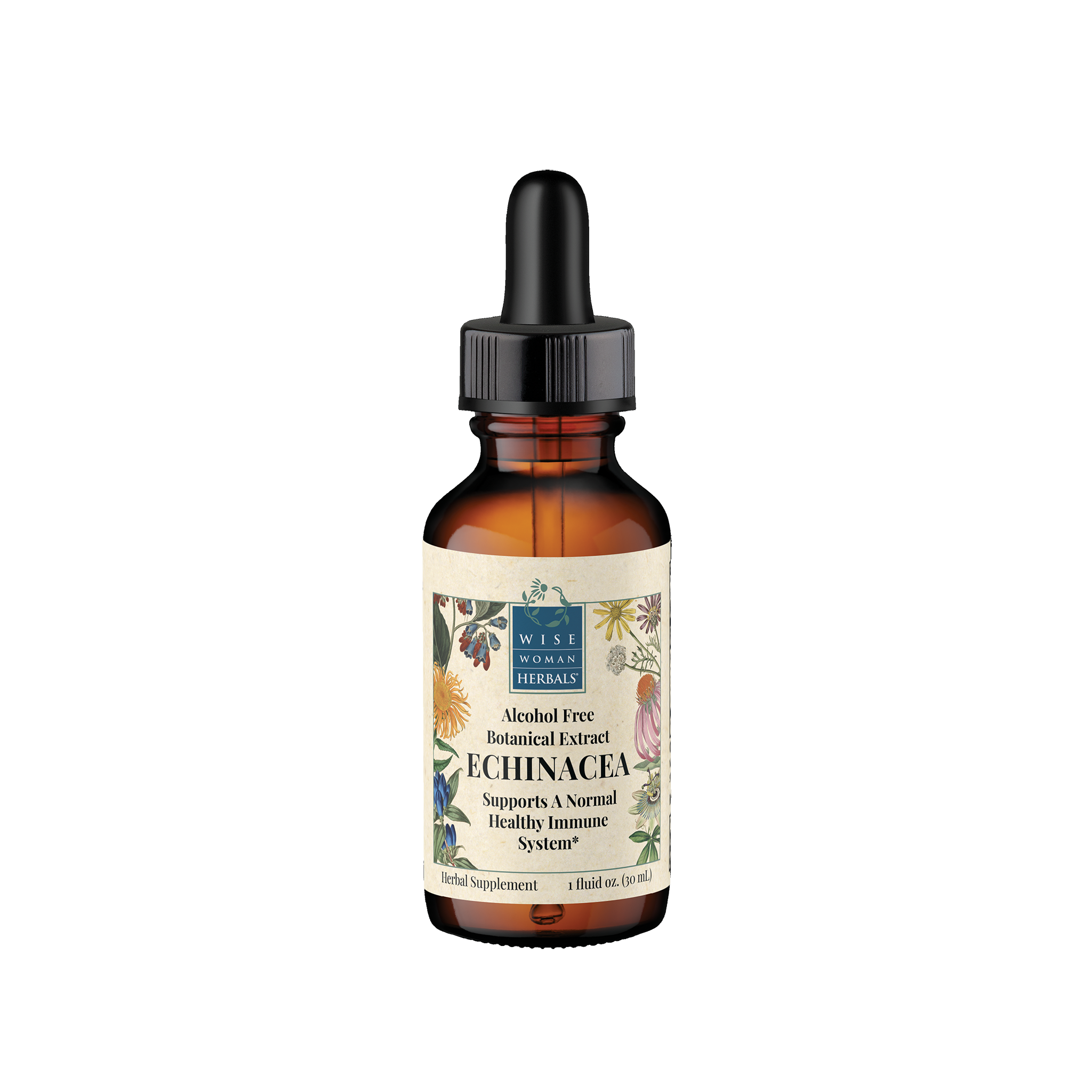 Echinacea Alcohol Free (Formerly Echinacea Glycerite) – Wise Woman