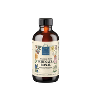 Echinacea Royal