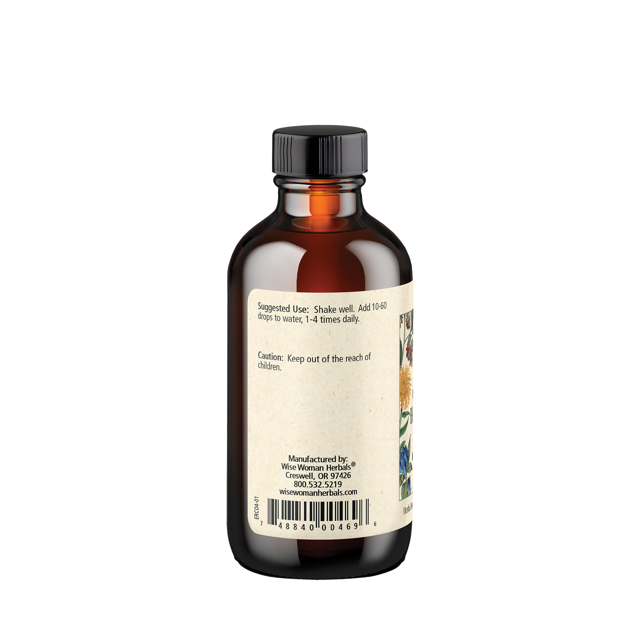 Echinacea Royal