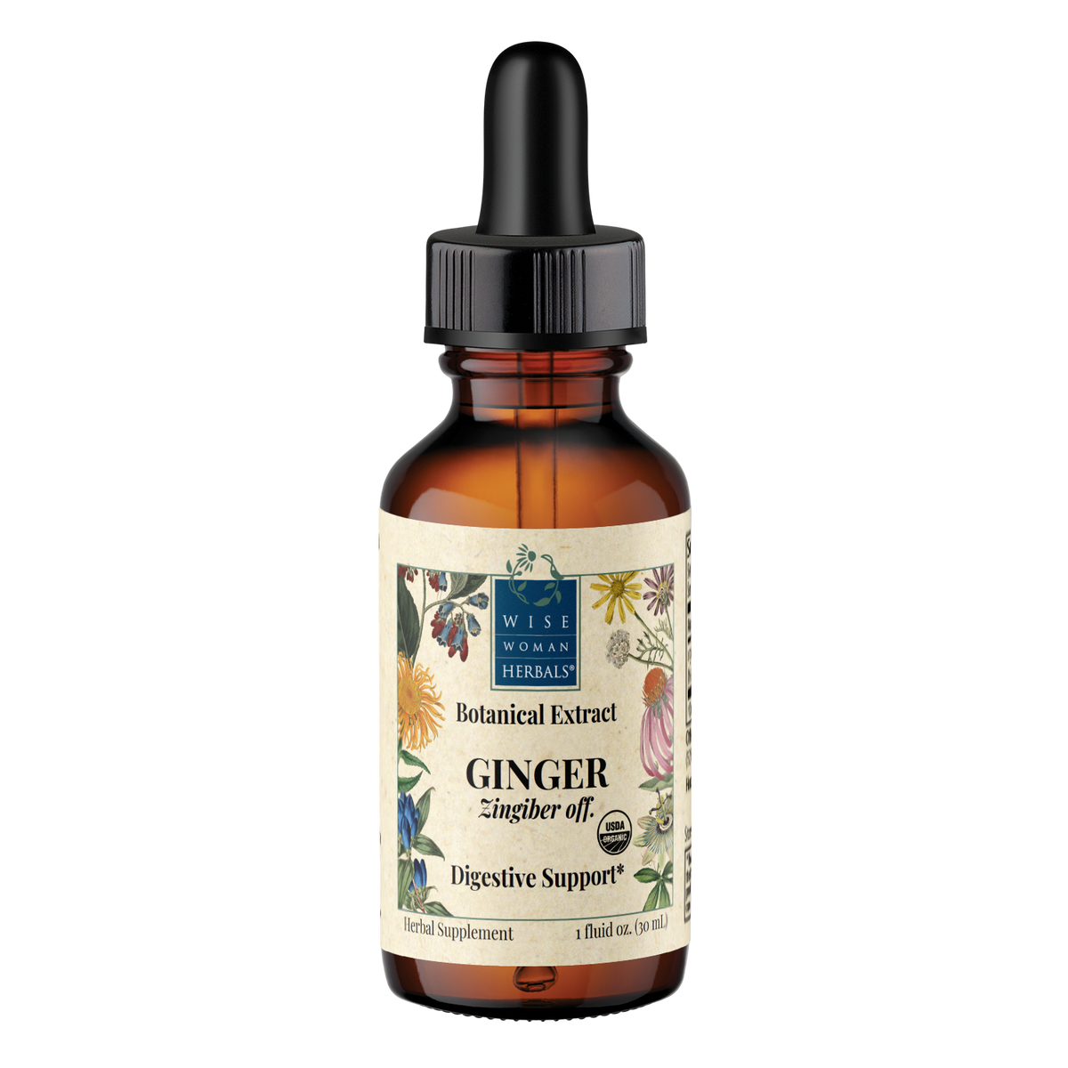 Ginger (Zingiber officinale) Botanical Extract