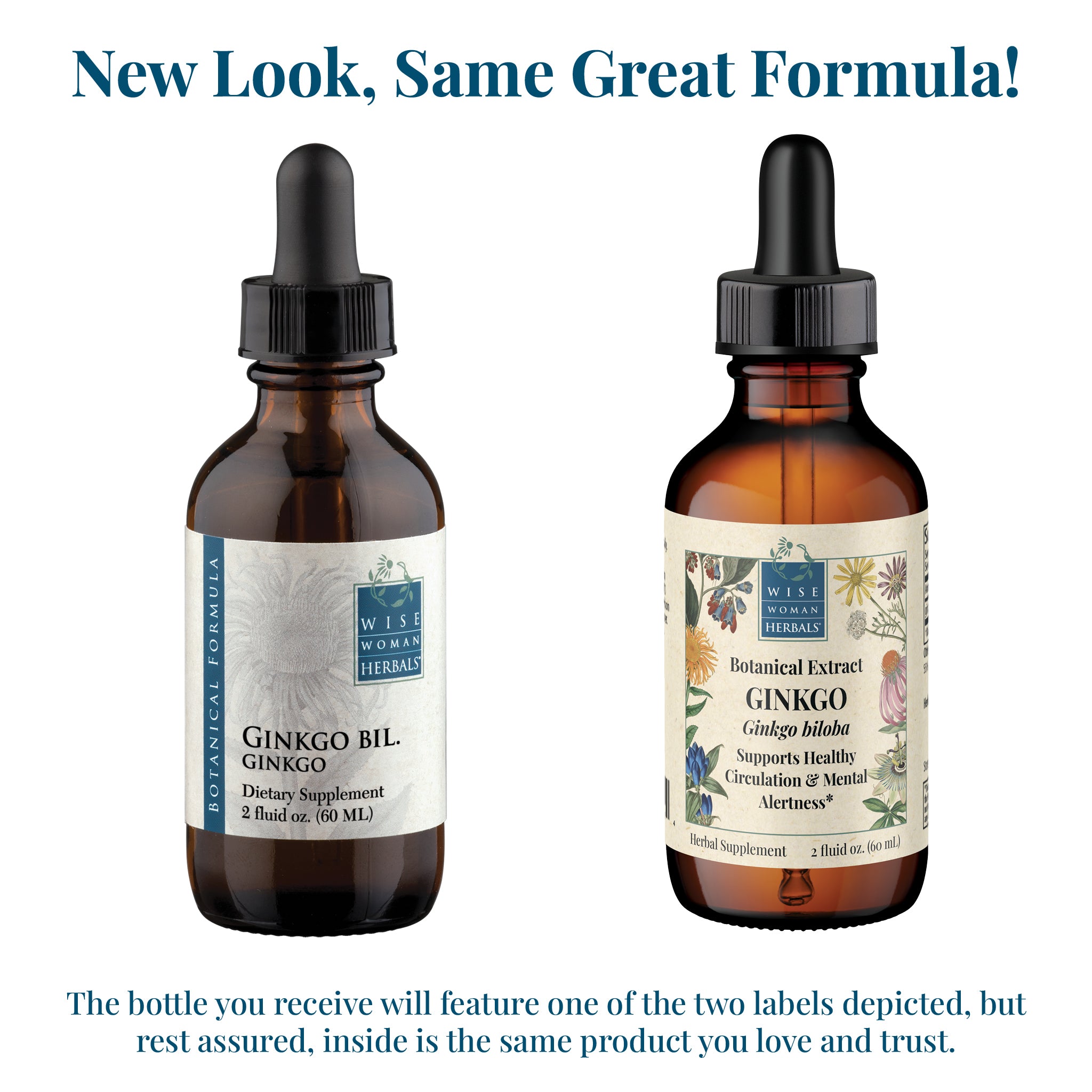 Ginkgo (Ginkgo biloba) Botanical Extract