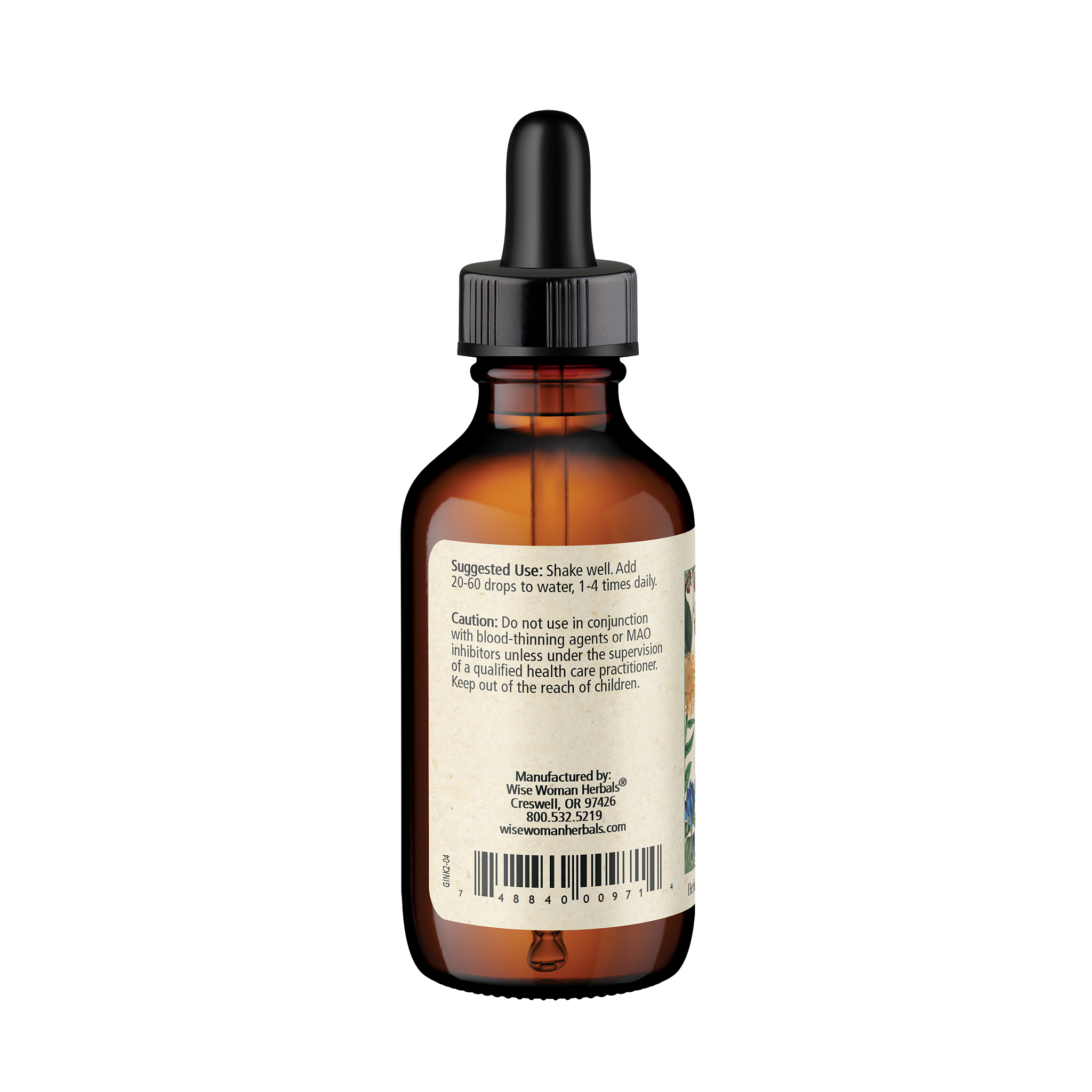 Ginkgo (Ginkgo biloba)