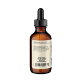 Ginkgo (Ginkgo biloba) Botanical Extract