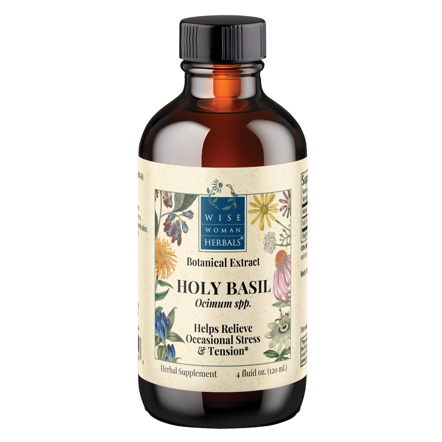 Holy Basil (Ocimum spp.)