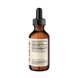 Milk Thistle (Silybum marianum)