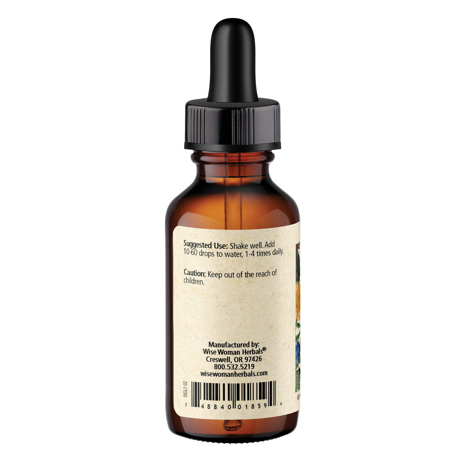 Milk Thistle Alcohol Free Botanical Extract
