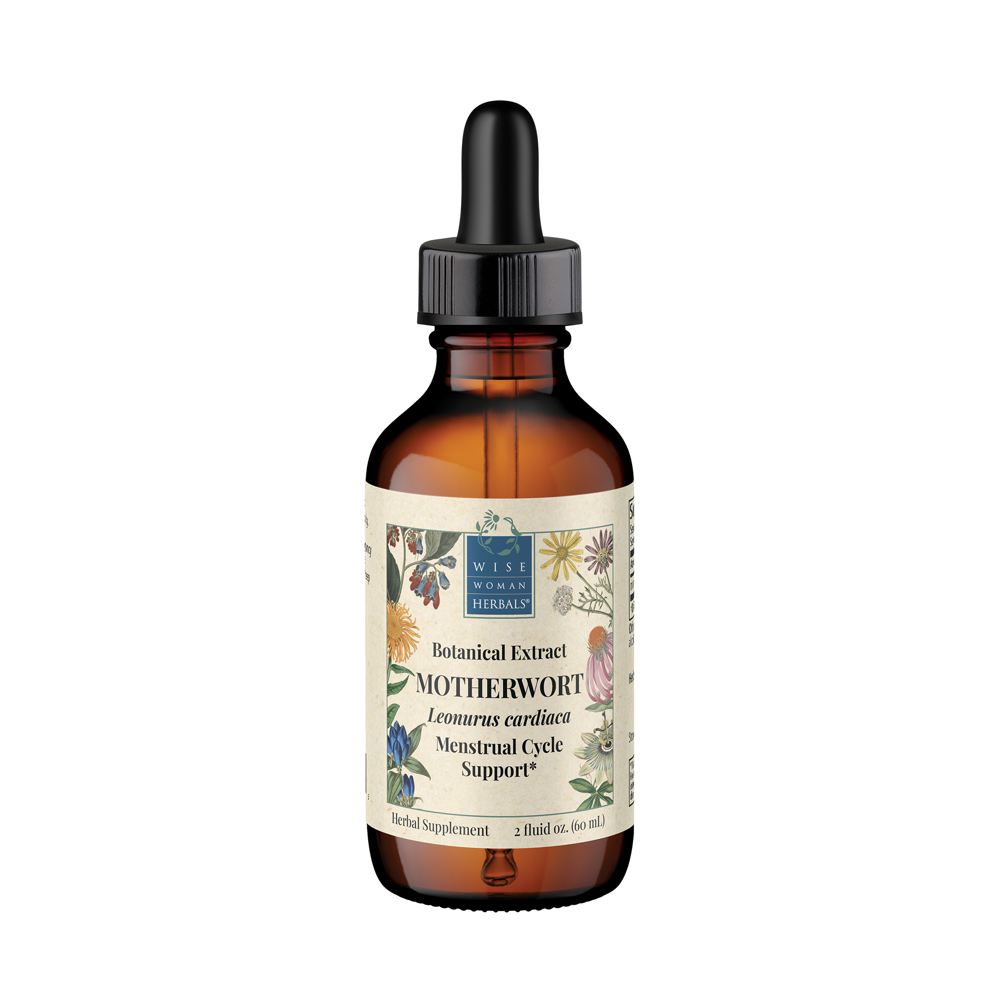 Motherwort (Leonurus cardiaca)