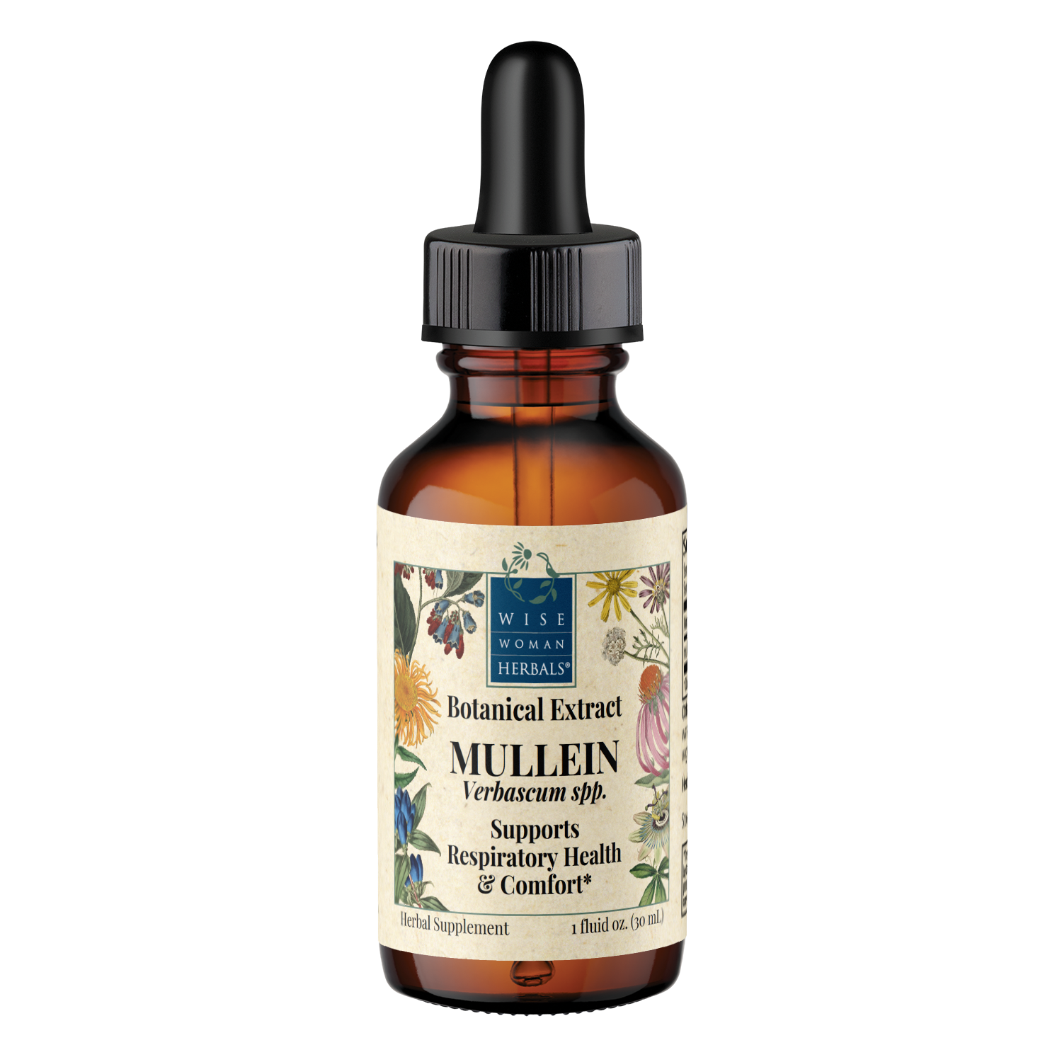 Mullein (Verbascum spp.) Botanical Extract