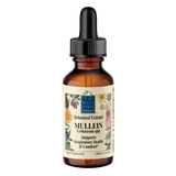 Mullein (Verbascum spp.) Botanical Extract