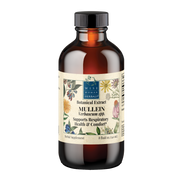 Mullein (Verbascum spp.)