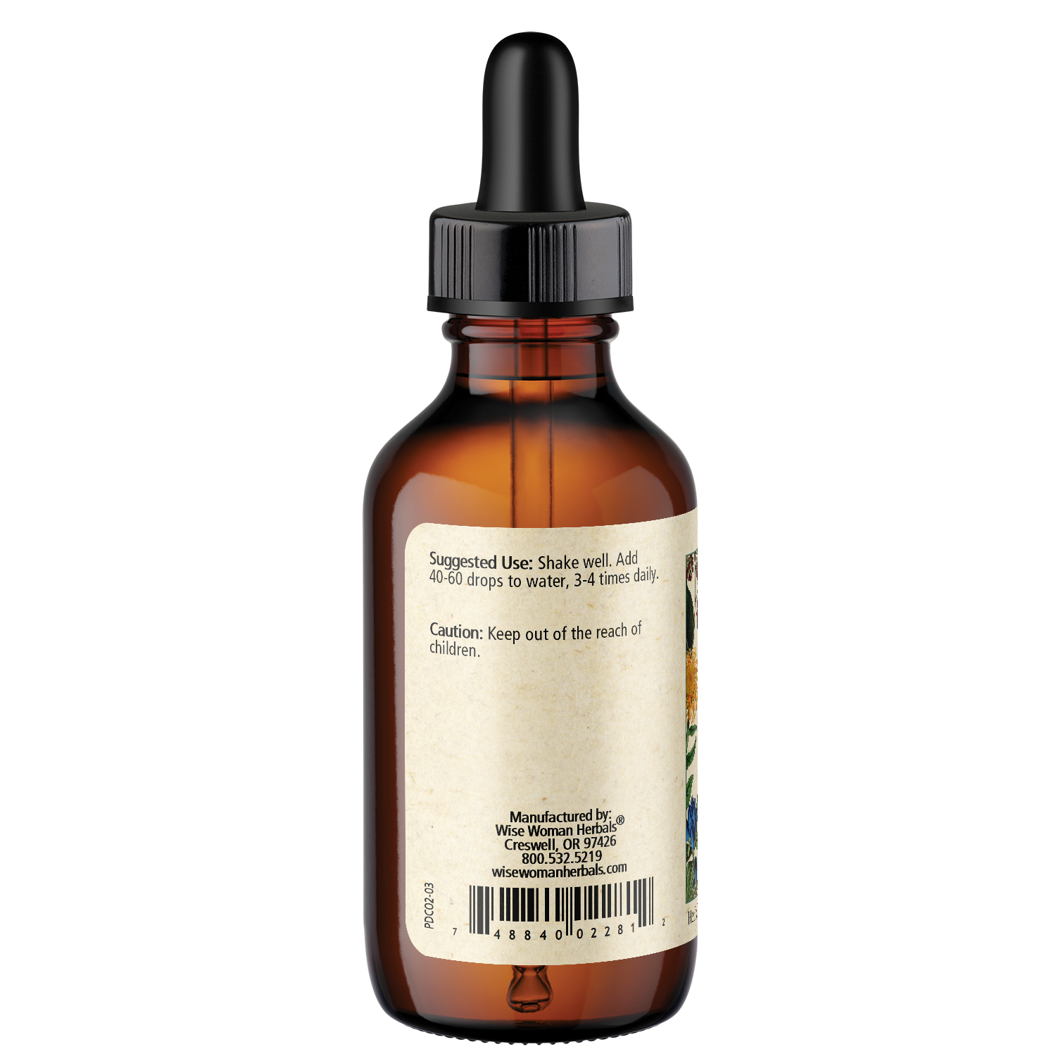 Phytodiuretic
